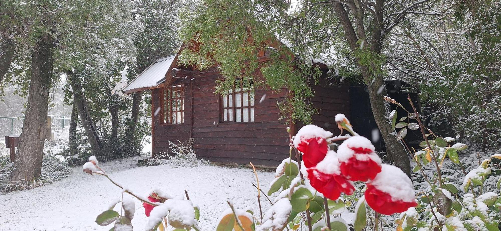 De Las Rosas Bariloche Extérieur photo
