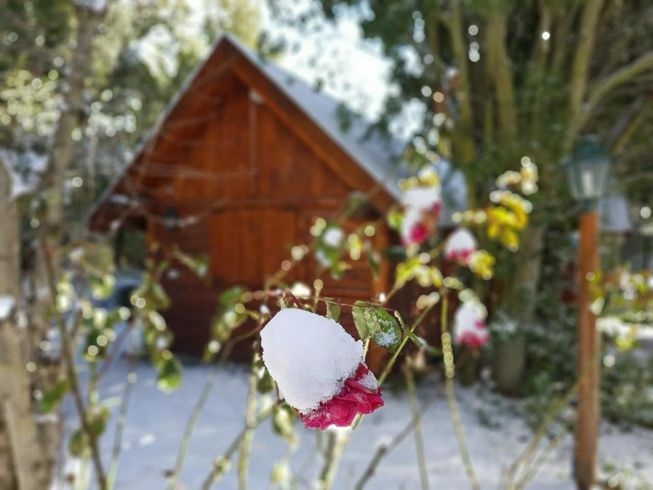 De Las Rosas Bariloche Extérieur photo